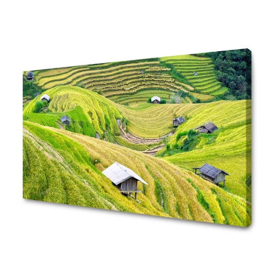 Obraz Na Płótnie Canvas Natura Tarasy Rolne 120X70 Cm GP TONER