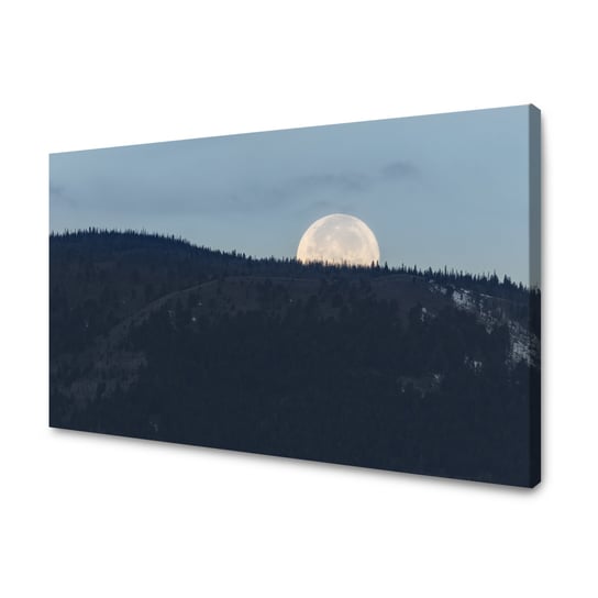 Obraz Na Płótnie Canvas Natura Wschodzący Księżyc 100X80 Cm GP TONER