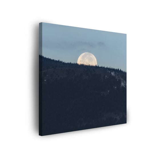 Obraz Na Płótnie Canvas Natura Wschodzący Księżyc 60X60 Cm GP TONER