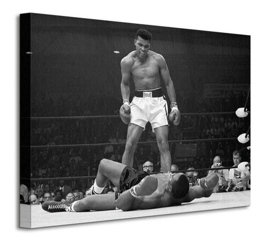 Obraz na płótnie canvas PYRAMID INTERNATIONAL Muhammad Ali, 30x40 cm Muhammad Ali