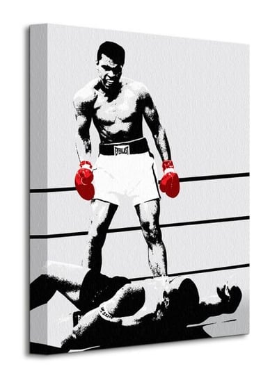 Obraz na płótnie canvas PYRAMID INTERNATIONAL Muhammad Ali, 40x30 cm Muhammad Ali