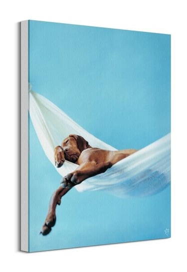Obraz na płótnie/canvas PYRAMID INTERNATIONAL Rachael Hale, błękitno-biały, 40x50 cm Inna marka