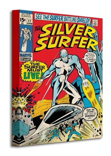 Obraz na płótnie canvas PYRAMID INTERNATIONAL Silver Surfer, 40x30 cm Marvel
