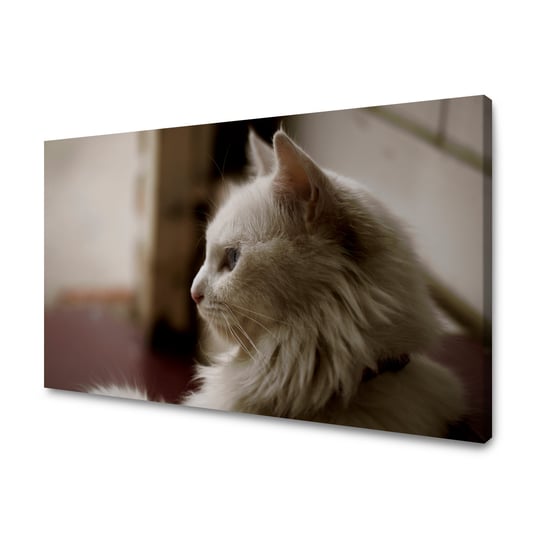 Obraz Na Płótnie Canvas Zwierzęta Biały Kot 120X70 Cm GP TONER