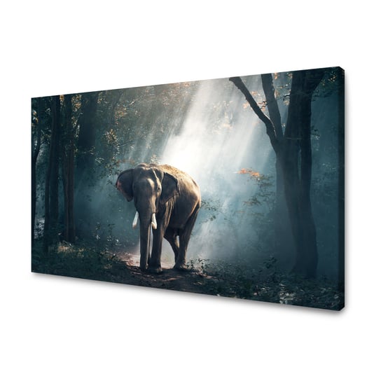 Obraz Na Płótnie Canvas Zwierzęta Słoń 80X40 Cm GP TONER