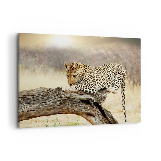 Obraz na płótnie - Chadzam własnymi drogami - 100x70cm - Zwierzęta Lampart Afryka - Nowoczesny foto obraz w ramie do salonu do sypialni ARTTOR ARTTOR