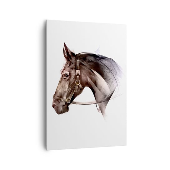 Obraz na płótnie - Co za wdzięk - 70x100cm - Zwierzęta Głowa Konia Koń - Nowoczesny foto obraz w ramie do salonu do sypialni ARTTOR ARTTOR