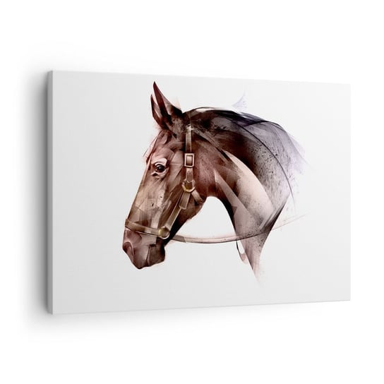 Obraz na płótnie - Co za wdzięk - 70x50cm - Zwierzęta Głowa Konia Koń - Nowoczesny Canvas obraz do salonu do sypialni ARTTOR ARTTOR