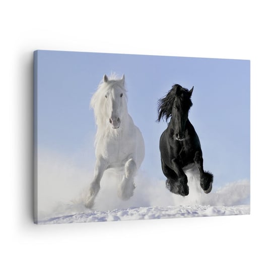 Obraz na płótnie - Czarno-biały galop - 70x50cm - Zwierzęta Koń Zima - Nowoczesny Canvas obraz do salonu do sypialni ARTTOR ARTTOR
