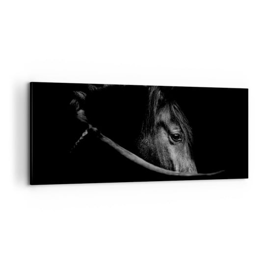 Obraz na płótnie - Czarny książę - 100x40cm - Koń Zwierzę Artystyczny - Nowoczesny foto obraz w ramie do salonu do sypialni ARTTOR ARTTOR