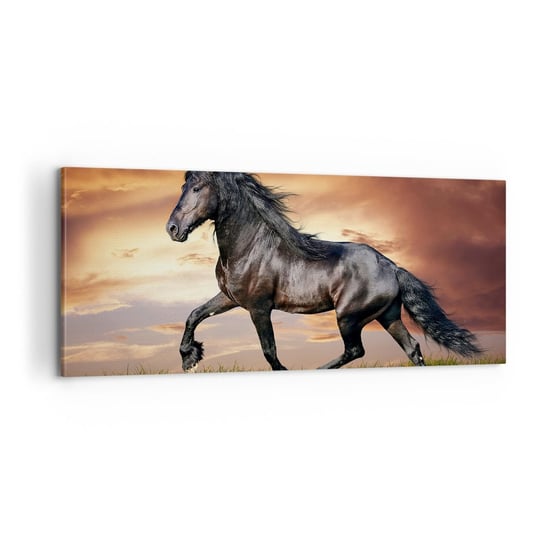 Obraz na płótnie - Czarny książę - 100x40cm - Zwierzęta Koń Arabski Krajobraz - Nowoczesny foto obraz w ramie do salonu do sypialni ARTTOR ARTTOR
