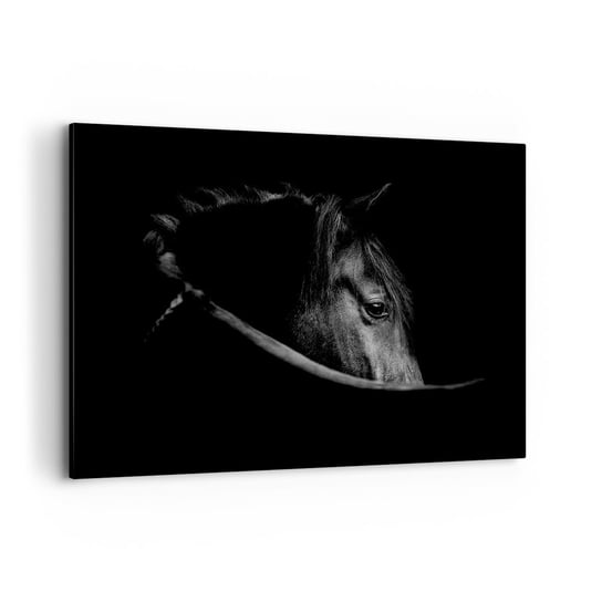 Obraz na płótnie - Czarny książę - 100x70cm - Koń Zwierzę Artystyczny - Nowoczesny foto obraz w ramie do salonu do sypialni ARTTOR ARTTOR