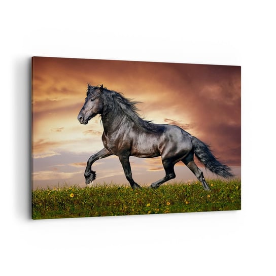 Obraz na płótnie - Czarny książę - 100x70cm - Zwierzęta Koń Arabski Krajobraz - Nowoczesny foto obraz w ramie do salonu do sypialni ARTTOR ARTTOR