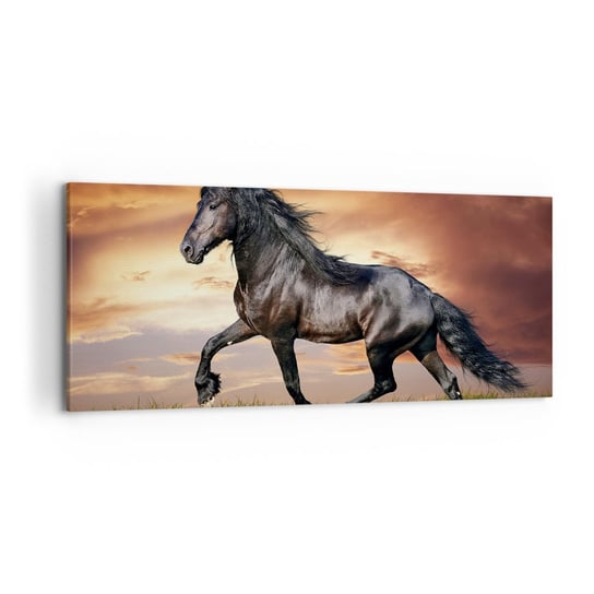 Obraz na płótnie - Czarny książę - 120x50cm - Zwierzęta Koń Arabski Krajobraz - Nowoczesny obraz na ścianę do salonu do sypialni ARTTOR ARTTOR