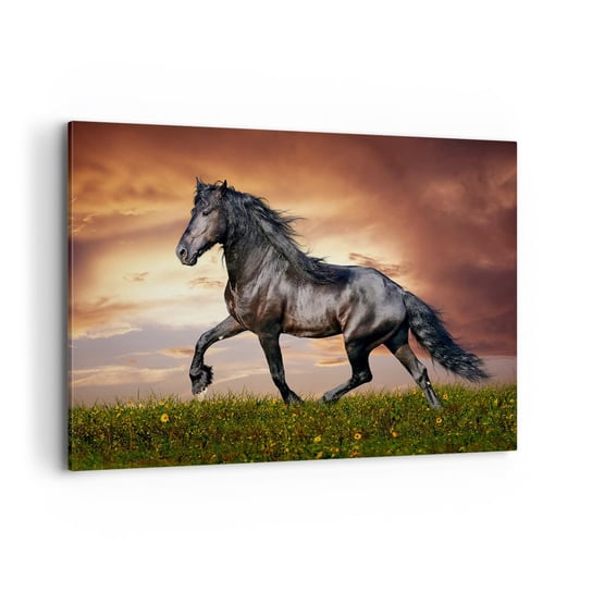 Obraz na płótnie - Czarny książę - 120x80cm - Zwierzęta Koń Arabski Krajobraz - Nowoczesny obraz na ścianę do salonu do sypialni ARTTOR ARTTOR