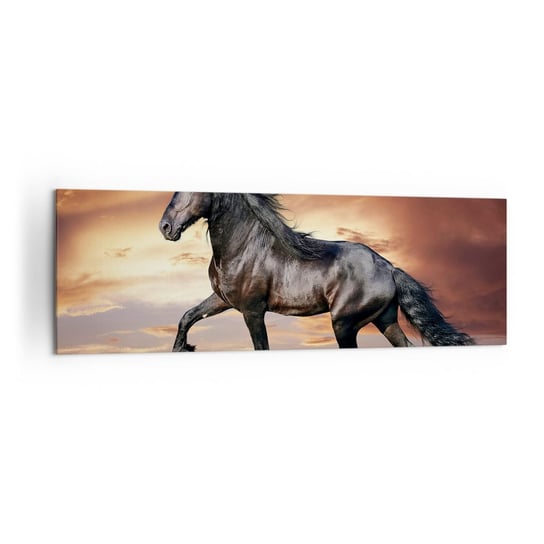 Obraz na płótnie - Czarny książę - 160x50cm - Zwierzęta Koń Arabski Krajobraz - Nowoczesny foto obraz w ramie do salonu do sypialni ARTTOR ARTTOR