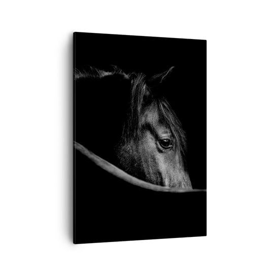Obraz na płótnie - Czarny książę - 50x70cm - Koń Zwierzę Artystyczny - Nowoczesny Canvas obraz do salonu do sypialni ARTTOR ARTTOR
