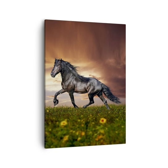 Obraz na płótnie - Czarny książę - 50x70cm - Zwierzęta Koń Arabski Krajobraz - Nowoczesny Canvas obraz do salonu do sypialni ARTTOR ARTTOR