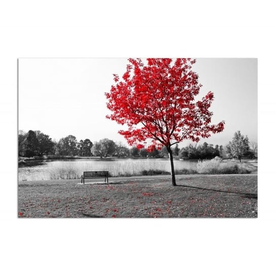 Obraz na płótnie, Czerwone liście na drzewie, 120x80 cm Feeby
