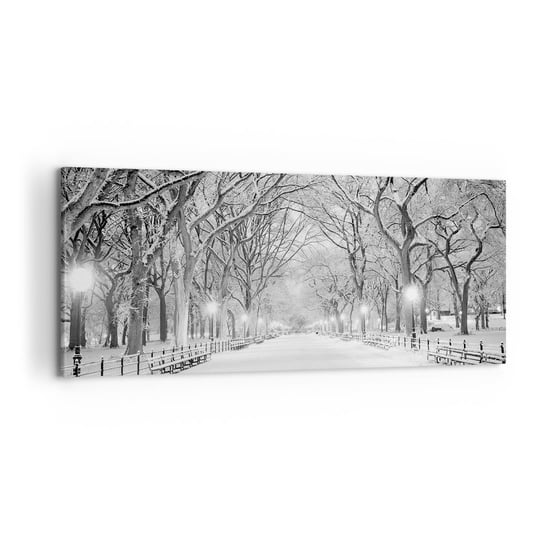 Obraz na płótnie - Cztery pory roku – zima - 100x40cm - Śnieg Zima Park - Nowoczesny foto obraz w ramie do salonu do sypialni ARTTOR ARTTOR