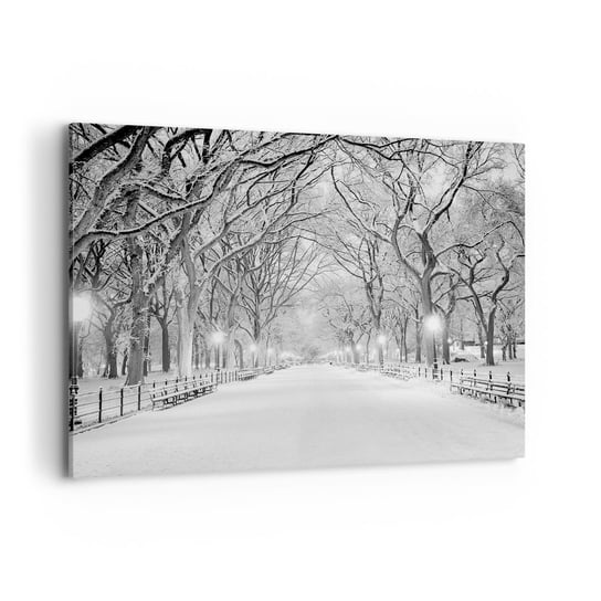 Obraz na płótnie - Cztery pory roku – zima - 100x70cm - Śnieg Zima Park - Nowoczesny foto obraz w ramie do salonu do sypialni ARTTOR ARTTOR
