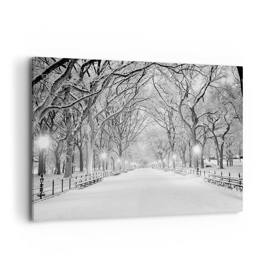 Obraz na płótnie - Cztery pory roku – zima - 120x80cm - Śnieg Zima Park - Nowoczesny obraz na ścianę do salonu do sypialni ARTTOR ARTTOR