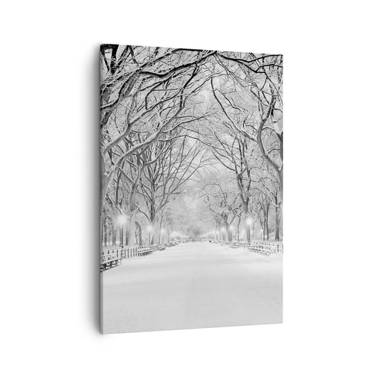 Obraz na płótnie - Cztery pory roku – zima - 50x70cm - Śnieg Zima Park - Nowoczesny Canvas obraz do salonu do sypialni ARTTOR ARTTOR
