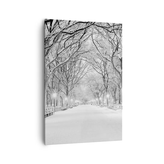 Obraz na płótnie - Cztery pory roku – zima - 70x100cm - Śnieg Zima Park - Nowoczesny foto obraz w ramie do salonu do sypialni ARTTOR ARTTOR