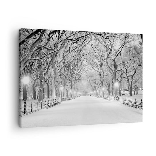 Obraz na płótnie - Cztery pory roku – zima - 70x50cm - Śnieg Zima Park - Nowoczesny Canvas obraz do salonu do sypialni ARTTOR ARTTOR