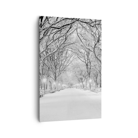Obraz na płótnie - Cztery pory roku – zima - 80x120cm - Śnieg Zima Park - Nowoczesny obraz na ścianę do salonu do sypialni ARTTOR ARTTOR
