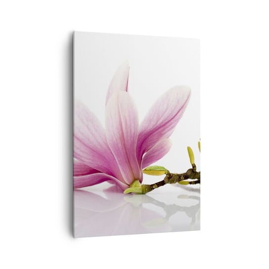Obraz na płótnie - Delikatne jak powiew wiosny - 70x100cm - Kwiat Magnolia Natura - Nowoczesny foto obraz w ramie do salonu do sypialni ARTTOR ARTTOR