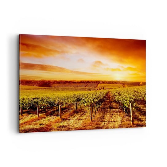 Obraz na płótnie - Delikatnie owocowe z nutą słońca - 100x70cm - Winnica Zachód Słońca Krajobraz - Nowoczesny foto obraz w ramie do salonu do sypialni ARTTOR ARTTOR