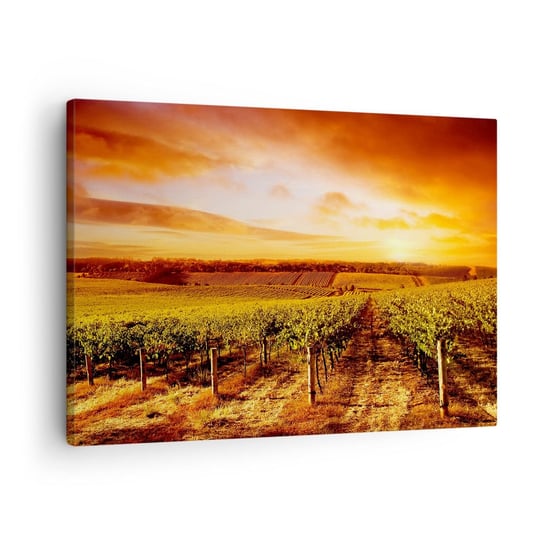 Obraz na płótnie - Delikatnie owocowe z nutą słońca - 70x50cm - Winnica Zachód Słońca Krajobraz - Nowoczesny Canvas obraz do salonu do sypialni ARTTOR ARTTOR