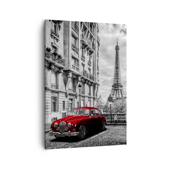 Obraz na płótnie - Drapieżnik w mieście - 50x70cm - Miasto Wieża Eiffla Paryż - Nowoczesny Canvas obraz do salonu do sypialni ARTTOR ARTTOR