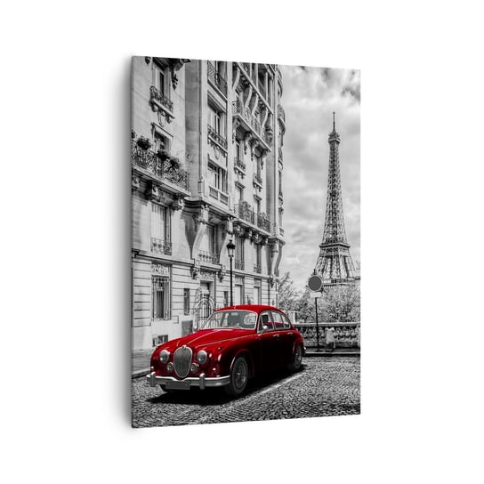 Obraz na płótnie - Drapieżnik w mieście - 70x100cm - Miasto Wieża Eiffla Paryż - Nowoczesny foto obraz w ramie do salonu do sypialni ARTTOR ARTTOR