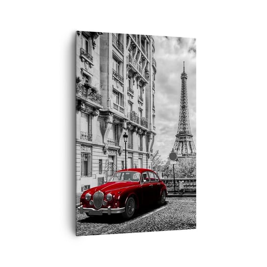 Obraz na płótnie - Drapieżnik w mieście - 80x120cm - Miasto Wieża Eiffla Paryż - Nowoczesny obraz na ścianę do salonu do sypialni ARTTOR ARTTOR