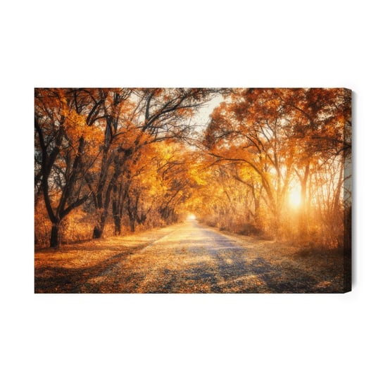Obraz Na Płótnie Droga W Jesiennym Lesie 3D 70x50 Inna marka