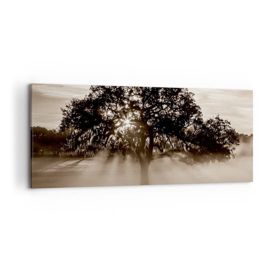 Obraz na płótnie - Drzewo wiadomości samego dobrego - 120x50cm - Krajobraz Drzewo Promienie Słońca - Nowoczesny obraz na ścianę do salonu do sypialni ARTTOR ARTTOR