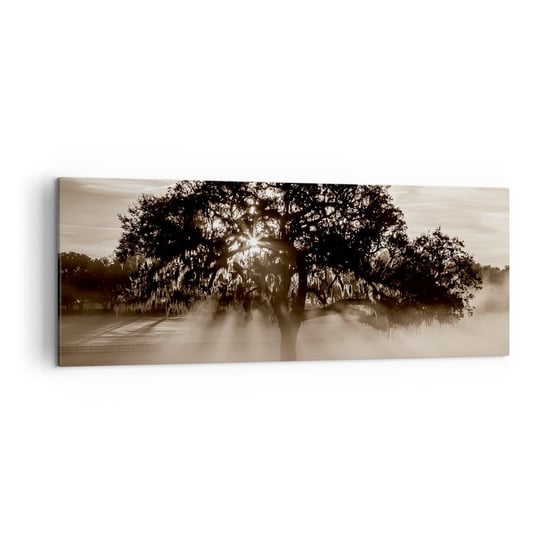 Obraz na płótnie - Drzewo wiadomości samego dobrego - 140x50cm - Krajobraz Drzewo Promienie Słońca - Nowoczesny Canvas obraz do salonu do sypialni ARTTOR ARTTOR