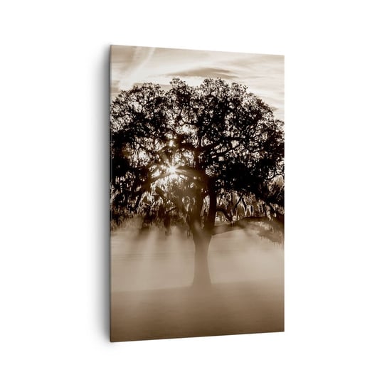 Obraz na płótnie - Drzewo wiadomości samego dobrego - 80x120cm - Krajobraz Drzewo Promienie Słońca - Nowoczesny obraz na ścianę do salonu do sypialni ARTTOR ARTTOR