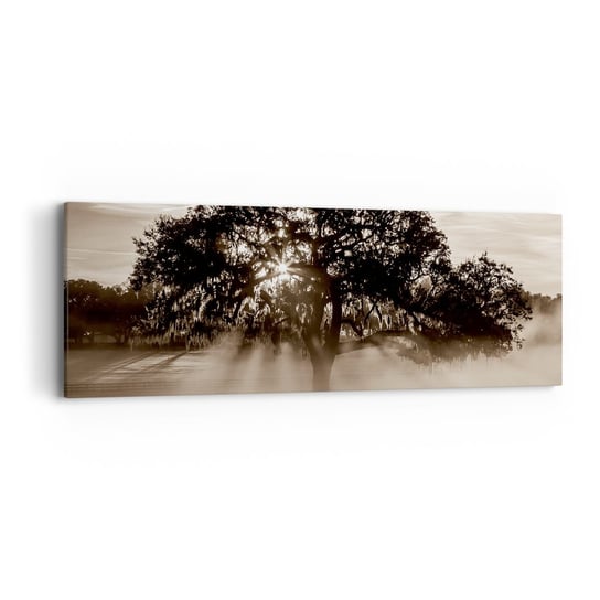 Obraz na płótnie - Drzewo wiadomości samego dobrego - 90x30cm - Krajobraz Drzewo Promienie Słońca - Nowoczesny Canvas obraz do salonu do sypialni ARTTOR ARTTOR