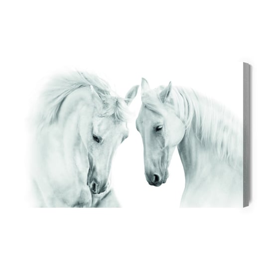 Obraz Na Płótnie Dwa Białe Konie 120x80 NC Inna marka