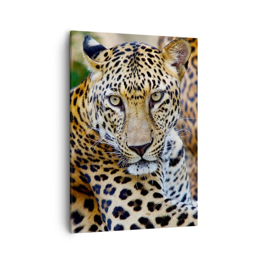 Obraz na płótnie - Dziki i spokojny - 50x70cm - Zwierzęta Lampart Afryka - Nowoczesny Canvas obraz do salonu do sypialni ARTTOR ARTTOR