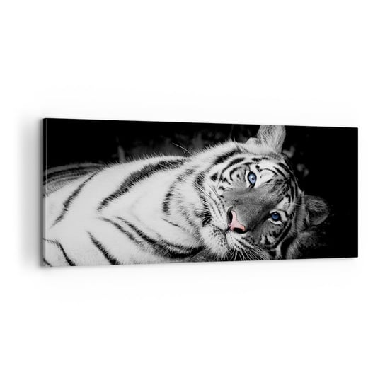 Obraz na płótnie - Dzikość i spokój - 100x40cm - Tygrys Biały Tygrys Zwierzęta - Nowoczesny foto obraz w ramie do salonu do sypialni ARTTOR ARTTOR