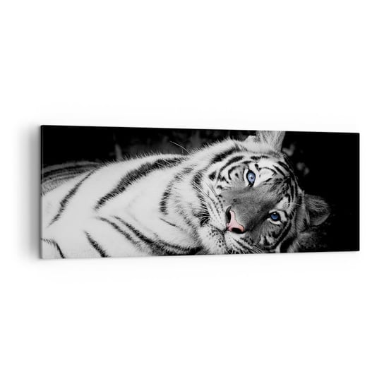 Obraz na płótnie - Dzikość i spokój - 140x50cm - Tygrys Biały Tygrys Zwierzęta - Nowoczesny Canvas obraz do salonu do sypialni ARTTOR ARTTOR