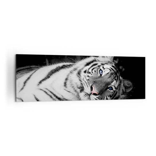 Obraz na płótnie - Dzikość i spokój - 160x50cm - Tygrys Biały Tygrys Zwierzęta - Nowoczesny foto obraz w ramie do salonu do sypialni ARTTOR ARTTOR