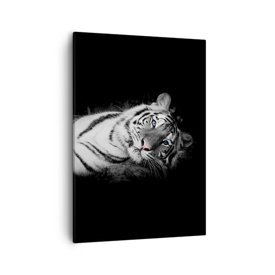 Obraz na płótnie - Dzikość i spokój - 50x70cm - Tygrys Biały Tygrys Zwierzęta - Nowoczesny Canvas obraz do salonu do sypialni ARTTOR ARTTOR