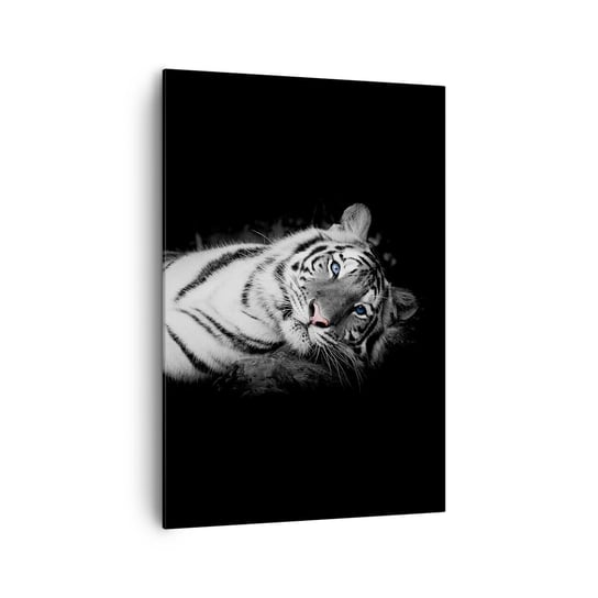 Obraz na płótnie - Dzikość i spokój - 70x100cm - Tygrys Biały Tygrys Zwierzęta - Nowoczesny foto obraz w ramie do salonu do sypialni ARTTOR ARTTOR