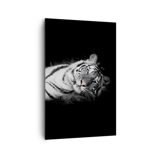Obraz na płótnie - Dzikość i spokój - 80x120cm - Tygrys Biały Tygrys Zwierzęta - Nowoczesny obraz na ścianę do salonu do sypialni ARTTOR ARTTOR
