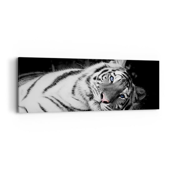 Obraz na płótnie - Dzikość i spokój - 90x30cm - Tygrys Biały Tygrys Zwierzęta - Nowoczesny Canvas obraz do salonu do sypialni ARTTOR ARTTOR